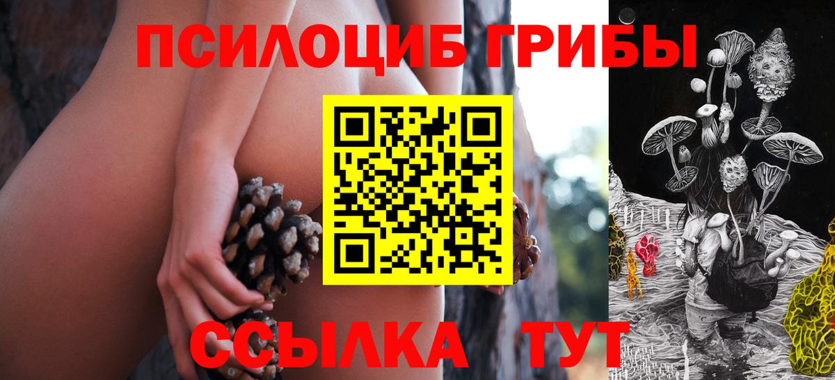 купить наркотик  Вход с VPN  Галлюциногенные грибы GOLDEN TEACHER  Чита  Галлюциногенные грибы прущие грибы 